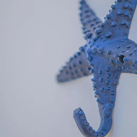 Διαμέρισμα Cap Winky - - Winkyhouse