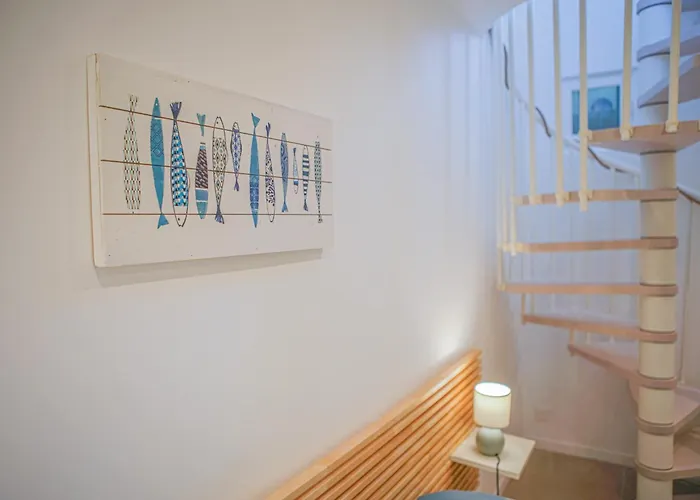 Cap Winky - - Winkyhouse