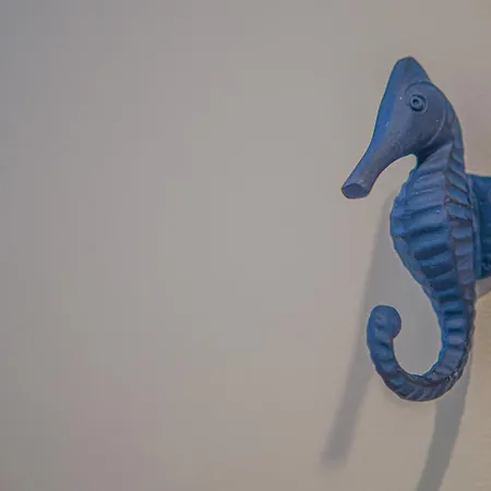 Cap Winky - - Winkyhouse *