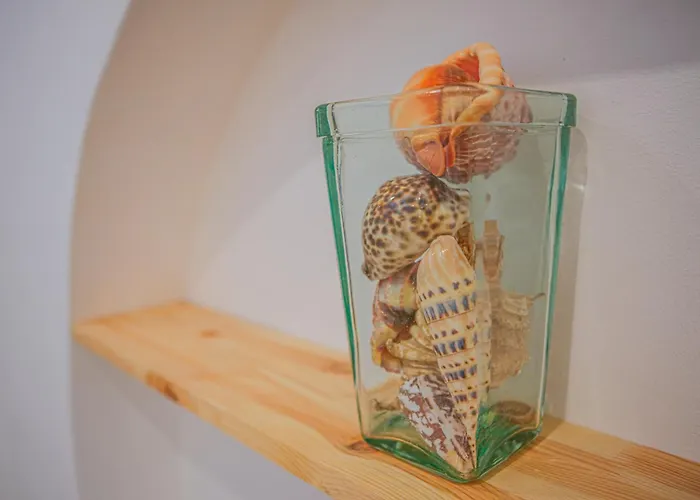 Cap Winky - - Winkyhouse